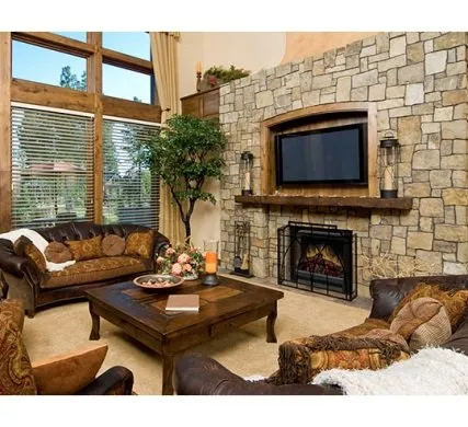 Dimplex in stone surround living room